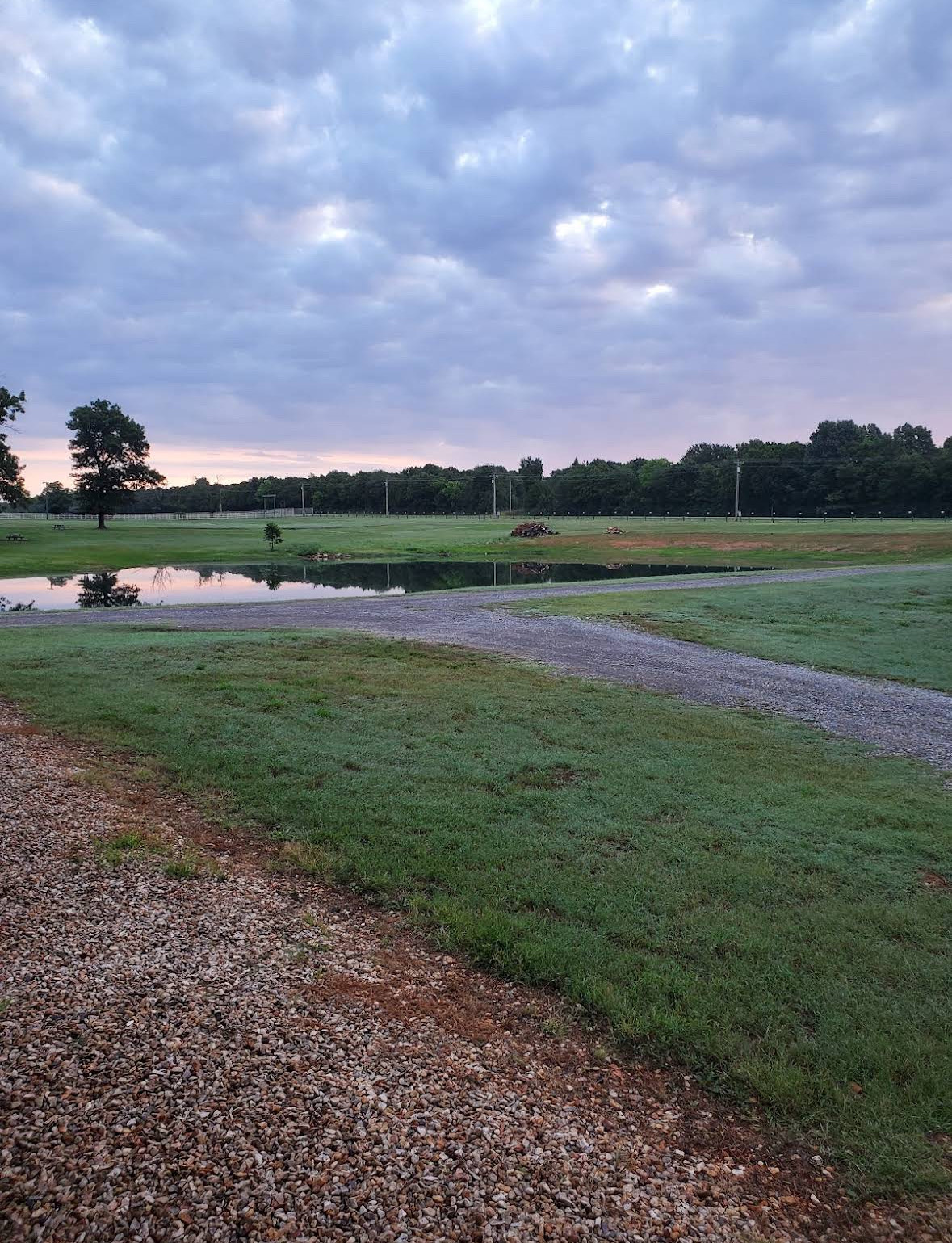 RV sites and cabins along the gravel drive at golden hour